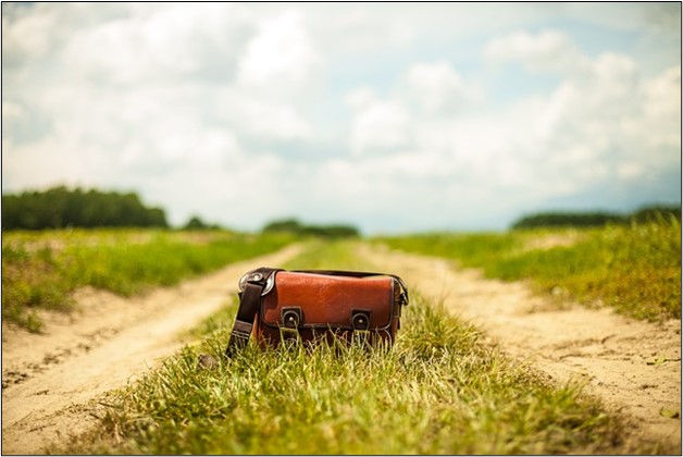 Image showing a metal detecting handbag.