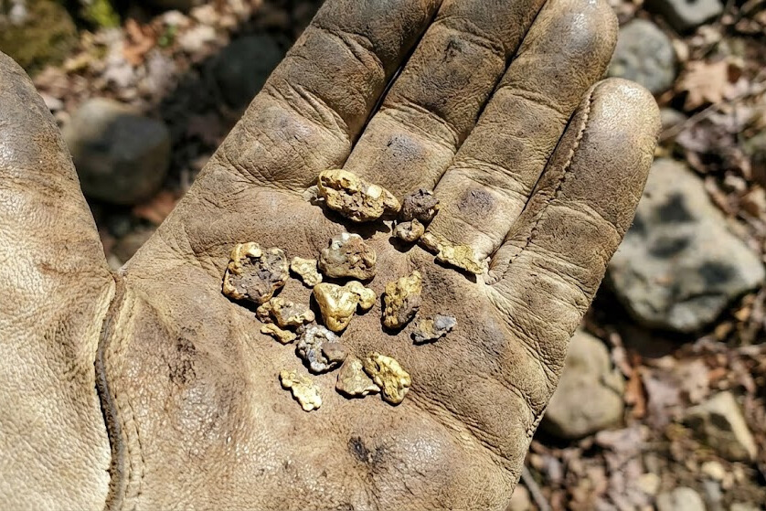 Metal detectorist digging for gold nuggets in mineralized red desert soil with detector coil visible
