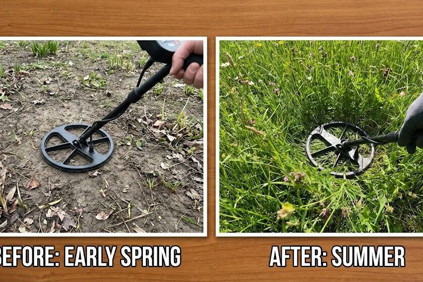 Before and after comparison showing metal detector coil access on bare spring ground versus obstructed summer tall grass